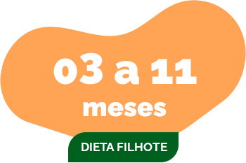 dieta-de-filhote-cachorro-3-a-11-meses